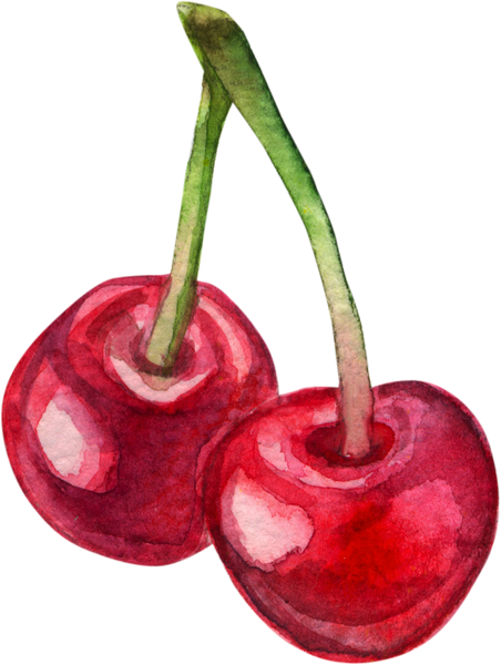 Watercolor Cherries Illustration