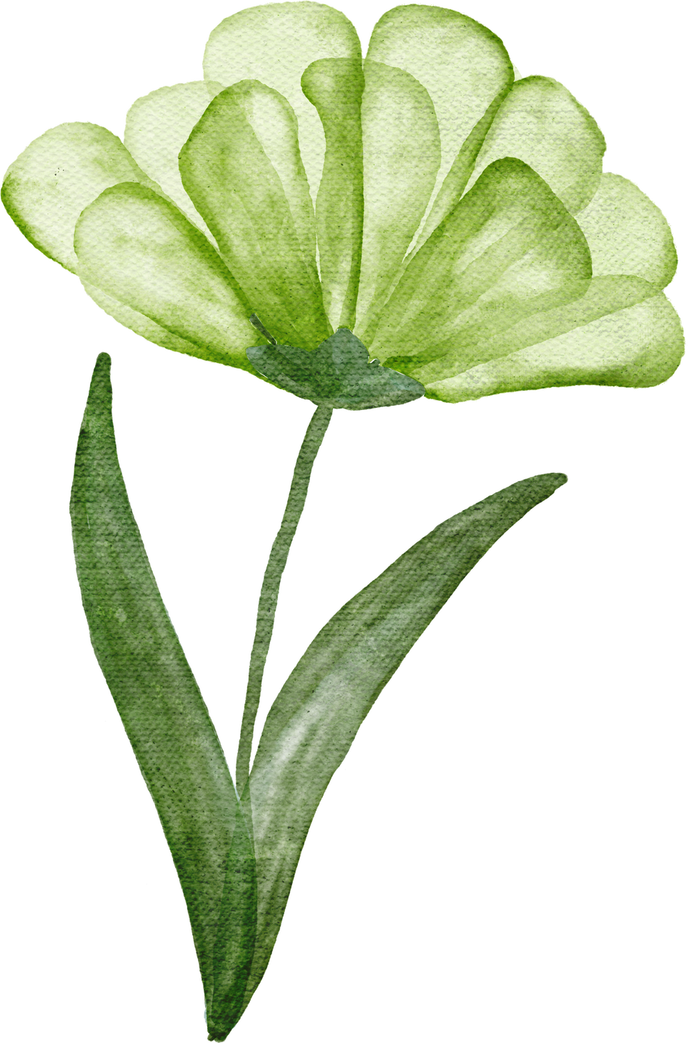 Light Green Flower