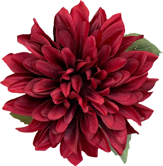 Blooming Red Flower