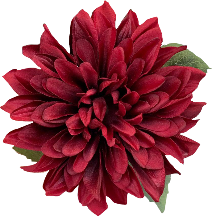 Blooming Red Flower